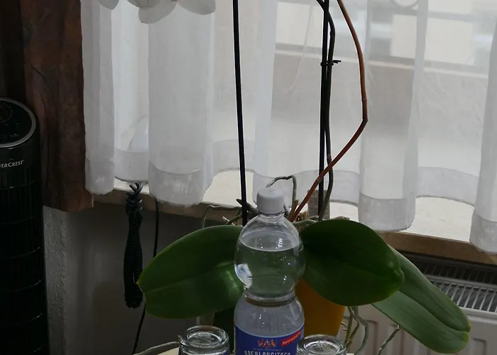 Meridian Отель 3*